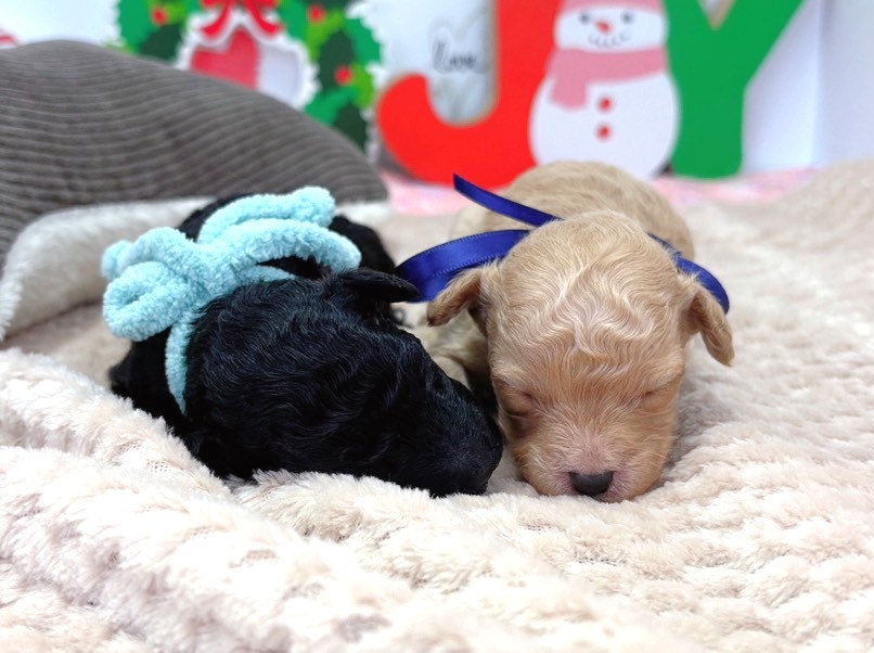 赤ちゃん写真1-3