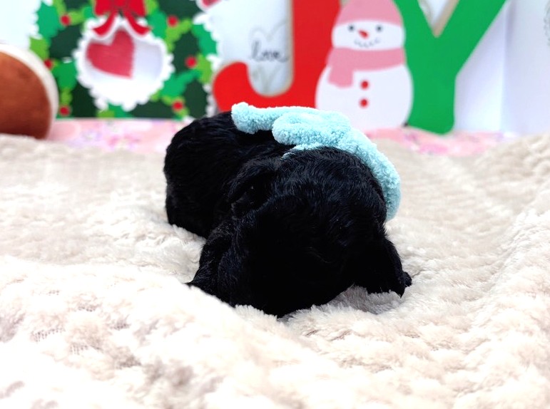 赤ちゃん写真1-1