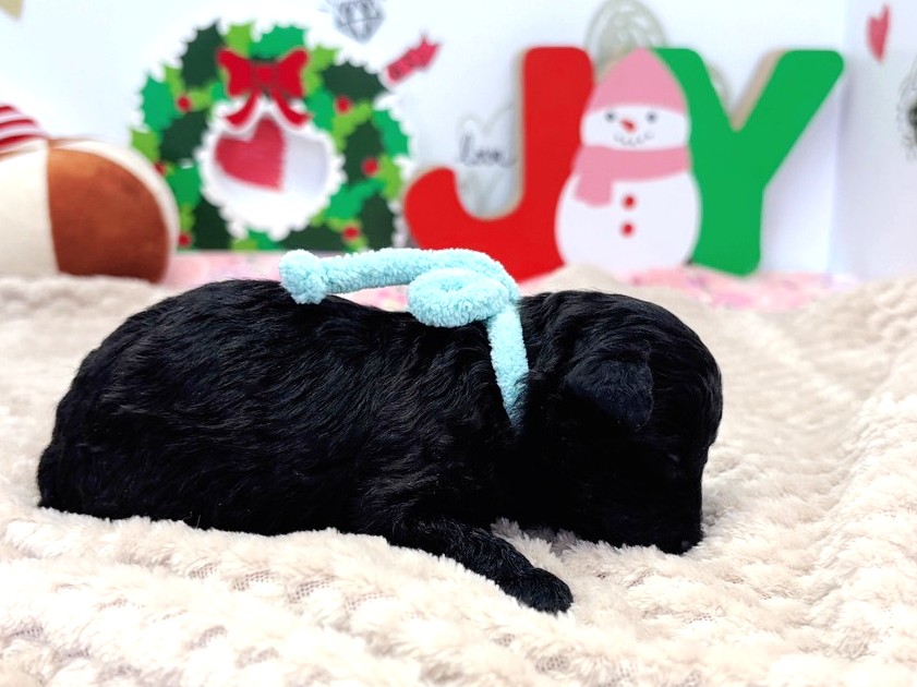 赤ちゃん写真1-2