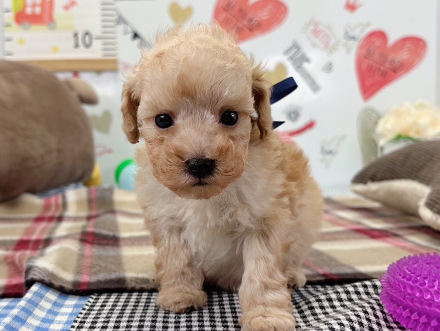 赤ちゃん写真2-1