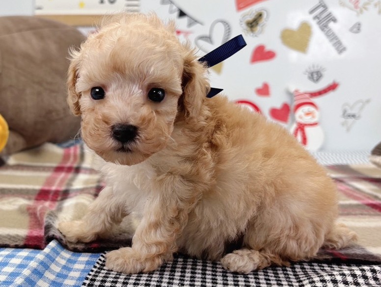 赤ちゃん写真2-2