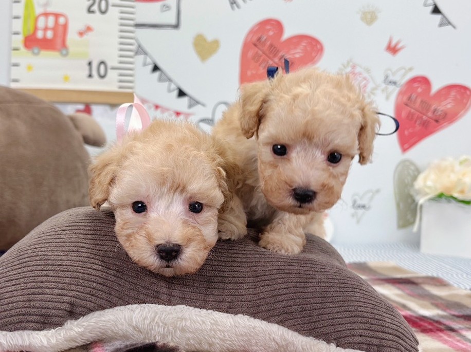 赤ちゃん写真2-3