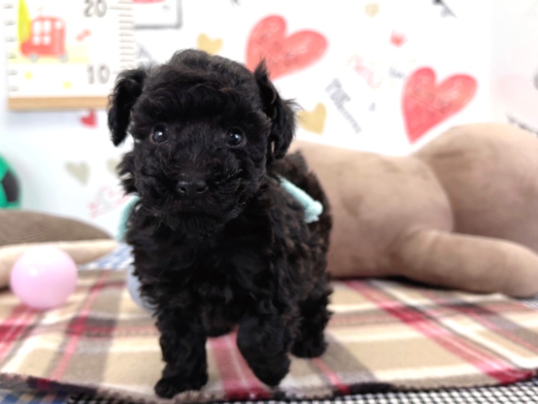 赤ちゃん写真2-1