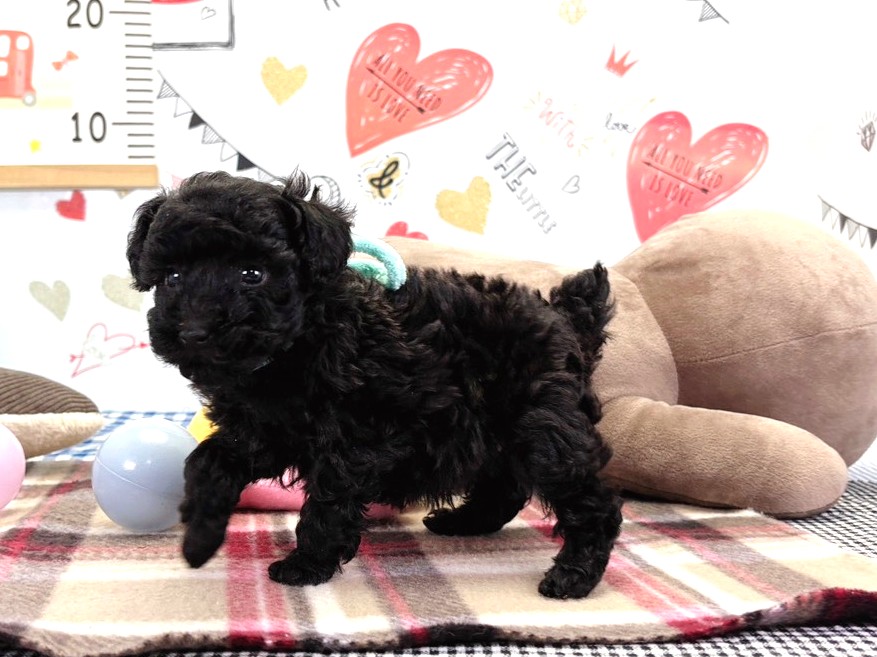 赤ちゃん写真2-2