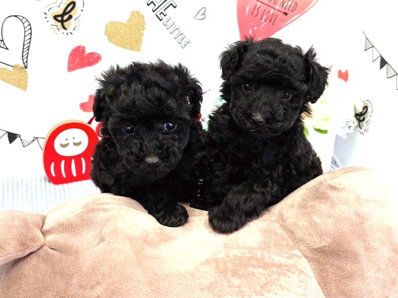 赤ちゃん写真2-3