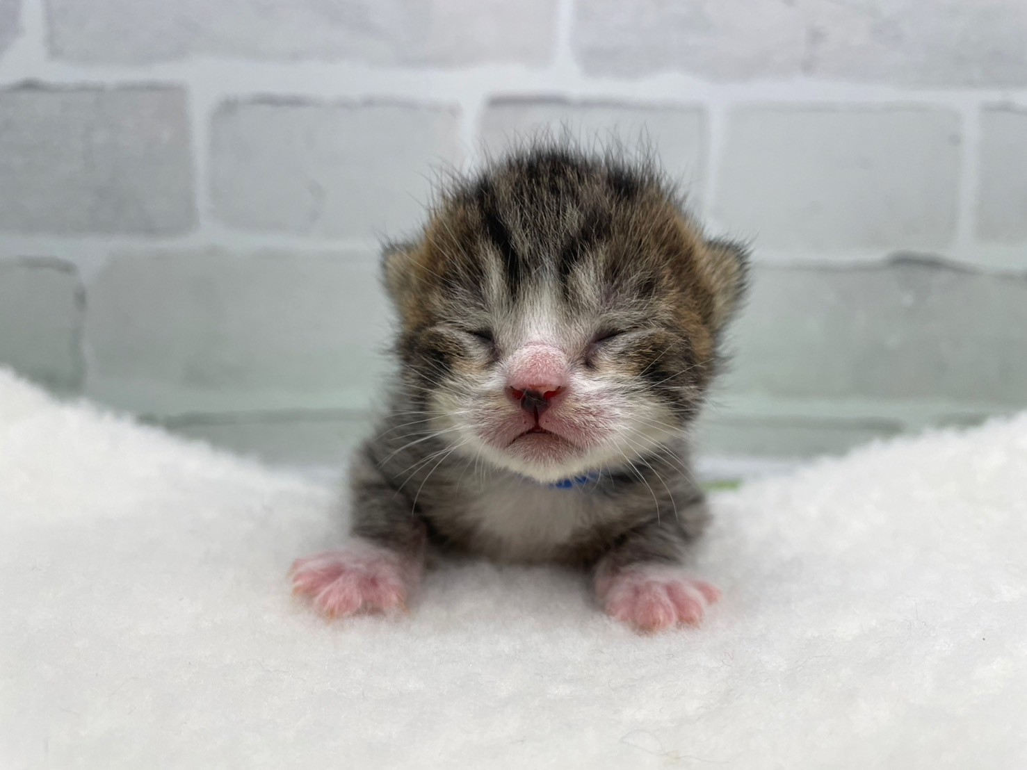 赤ちゃん写真1-1