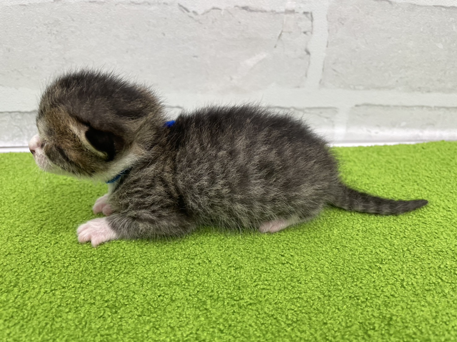 赤ちゃん写真1-2