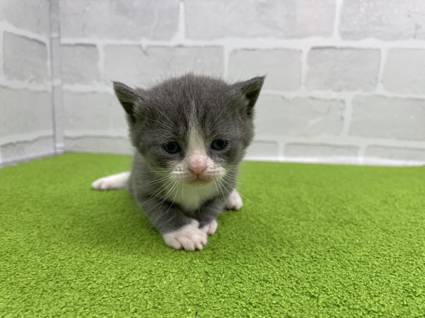 赤ちゃん写真2-1