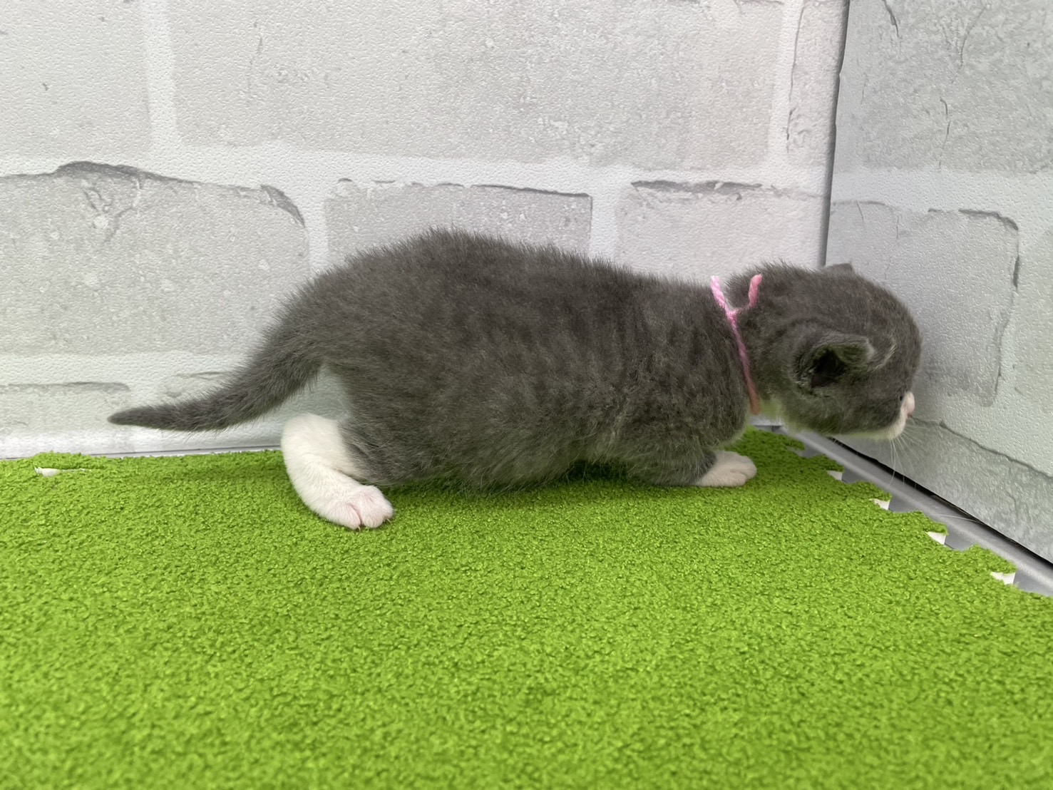 赤ちゃん写真2-2