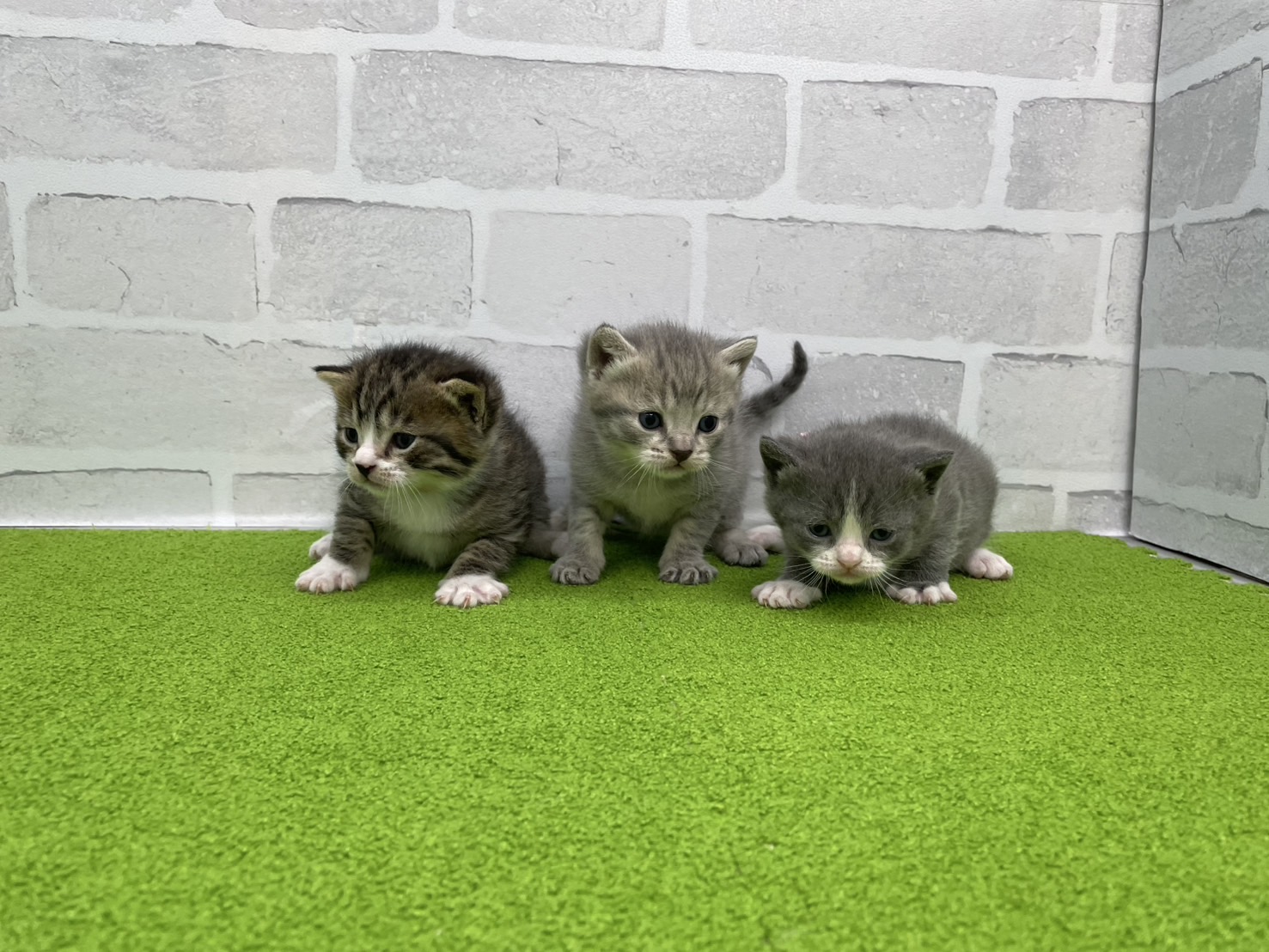 赤ちゃん写真2-3