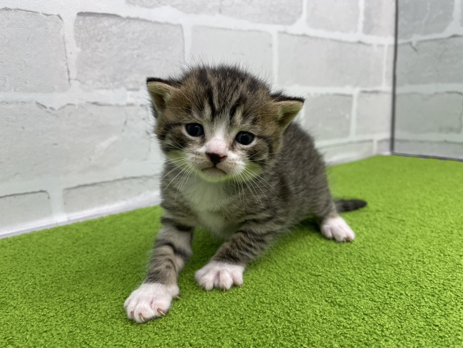 赤ちゃん写真2-1