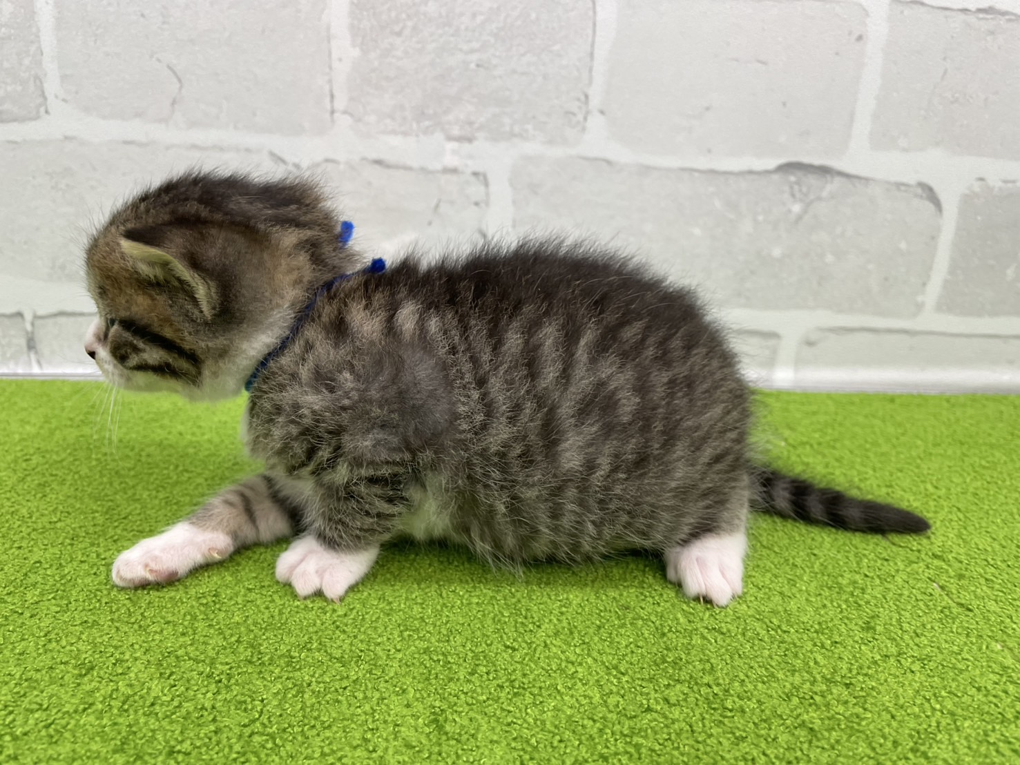 赤ちゃん写真2-2