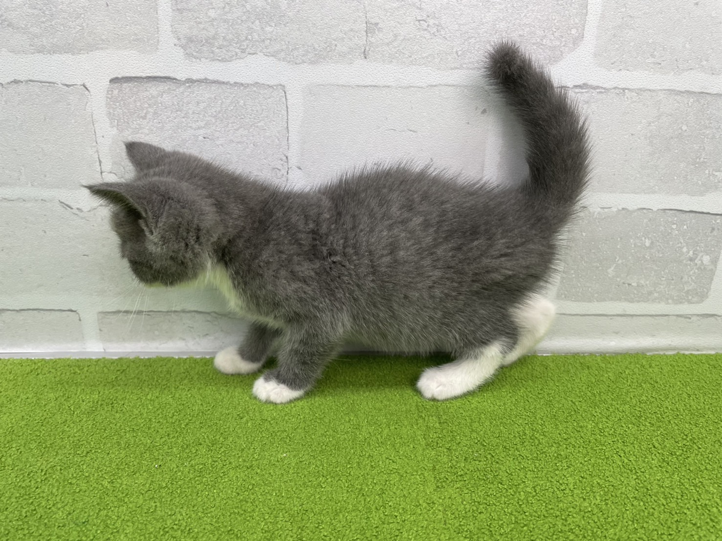 赤ちゃん写真3-2