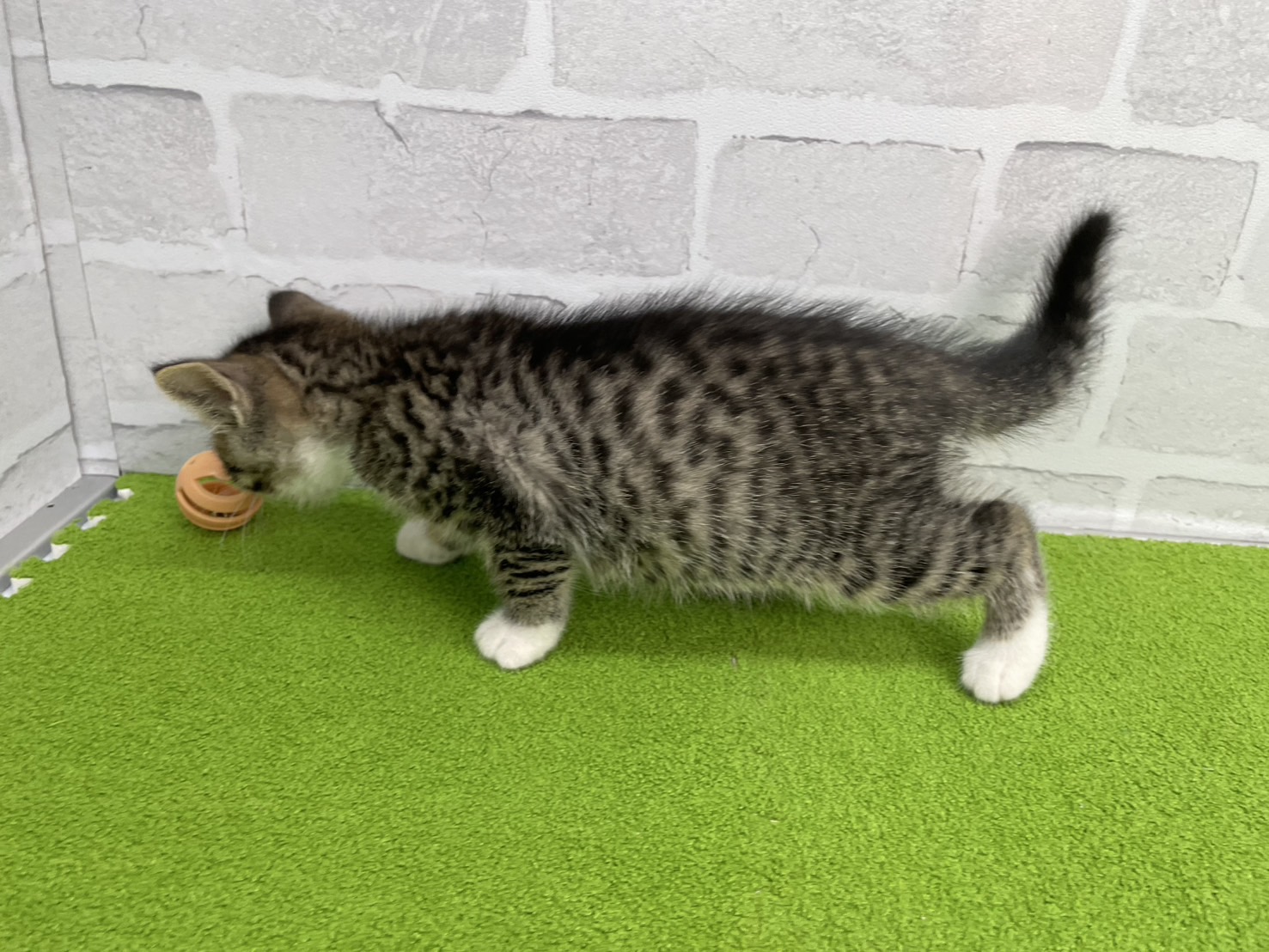 赤ちゃん写真3-2