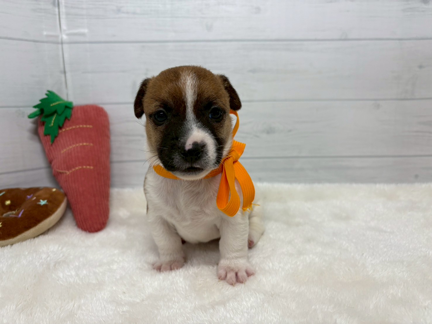 赤ちゃん写真2-1