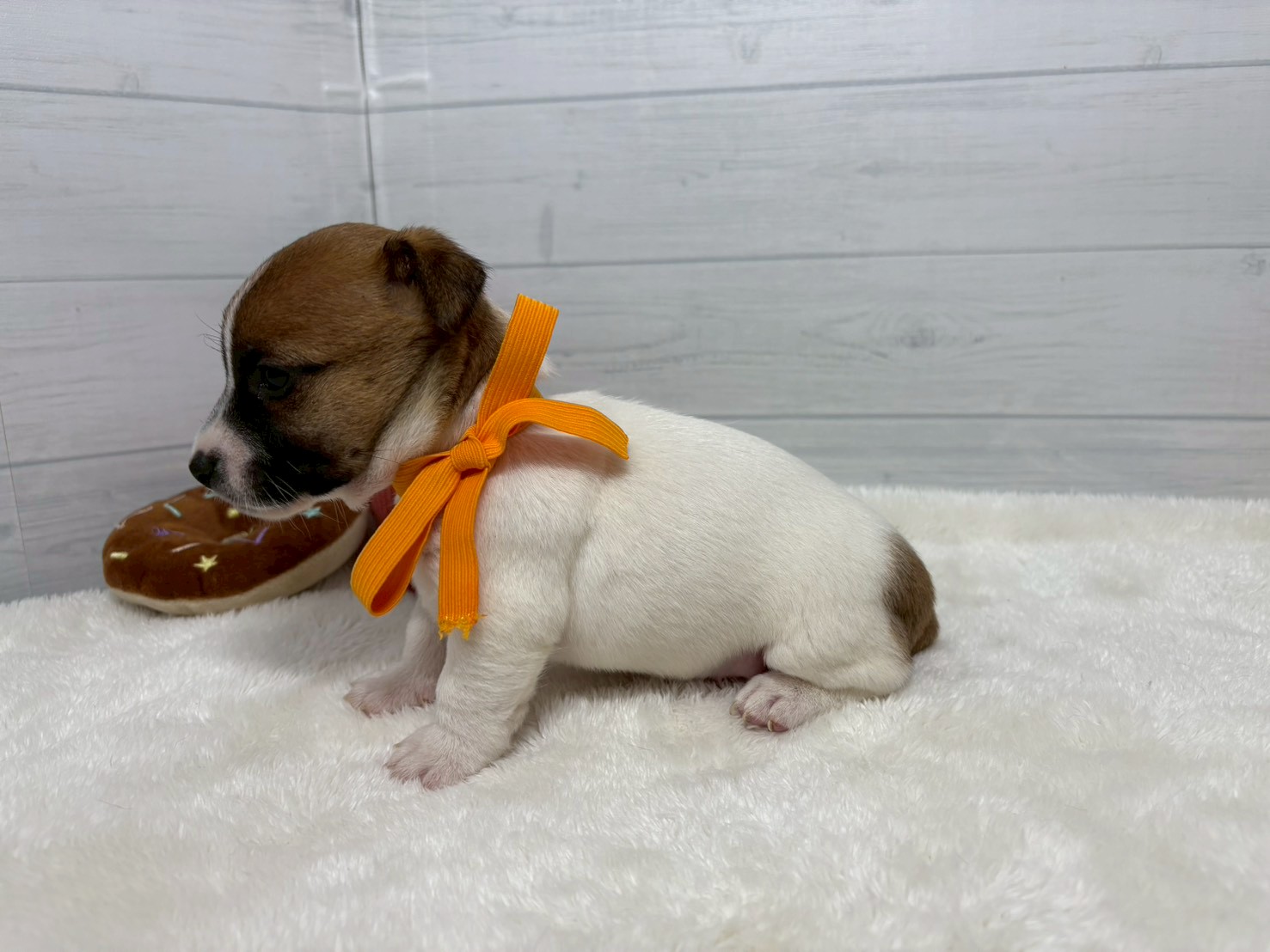 赤ちゃん写真2-2