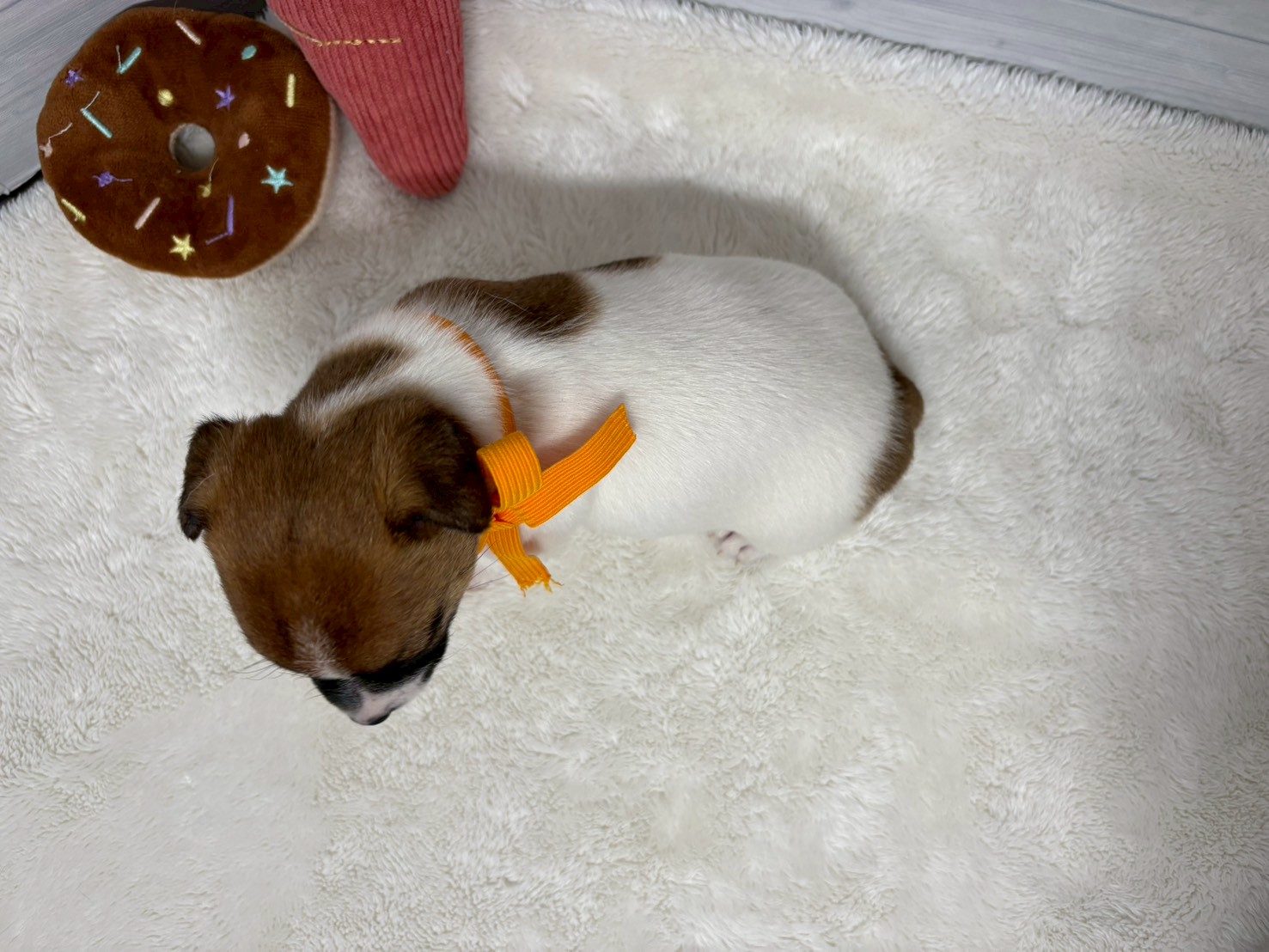 赤ちゃん写真2-3