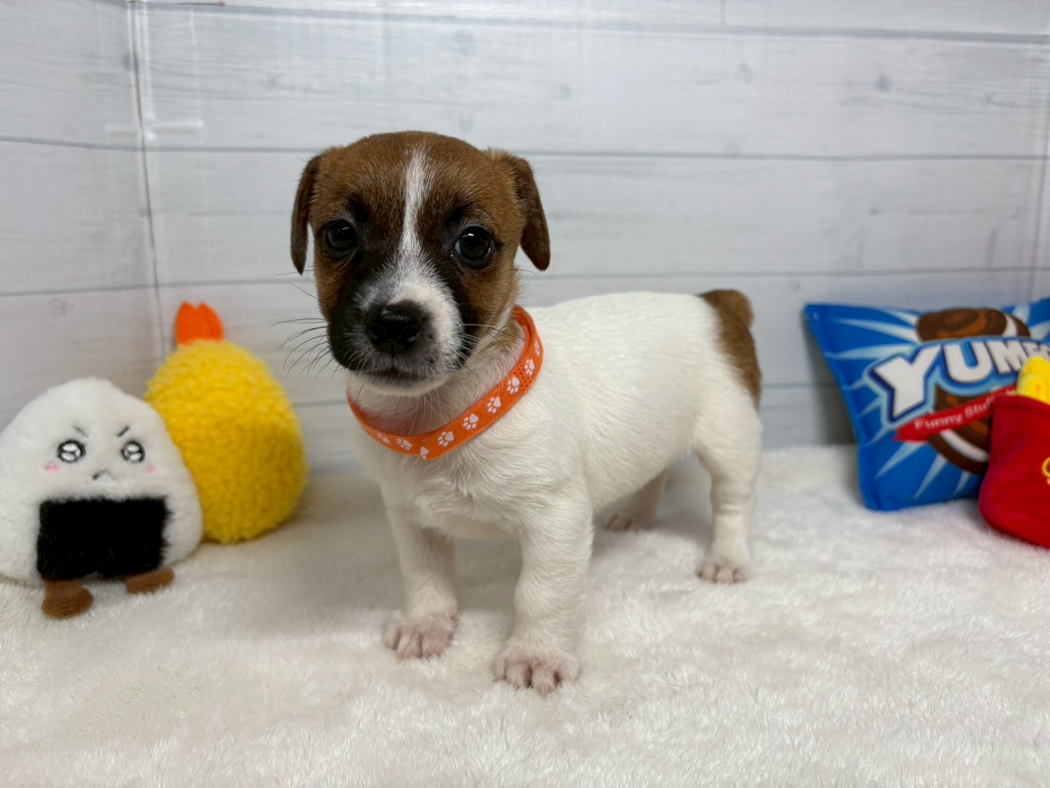 赤ちゃん写真3-1