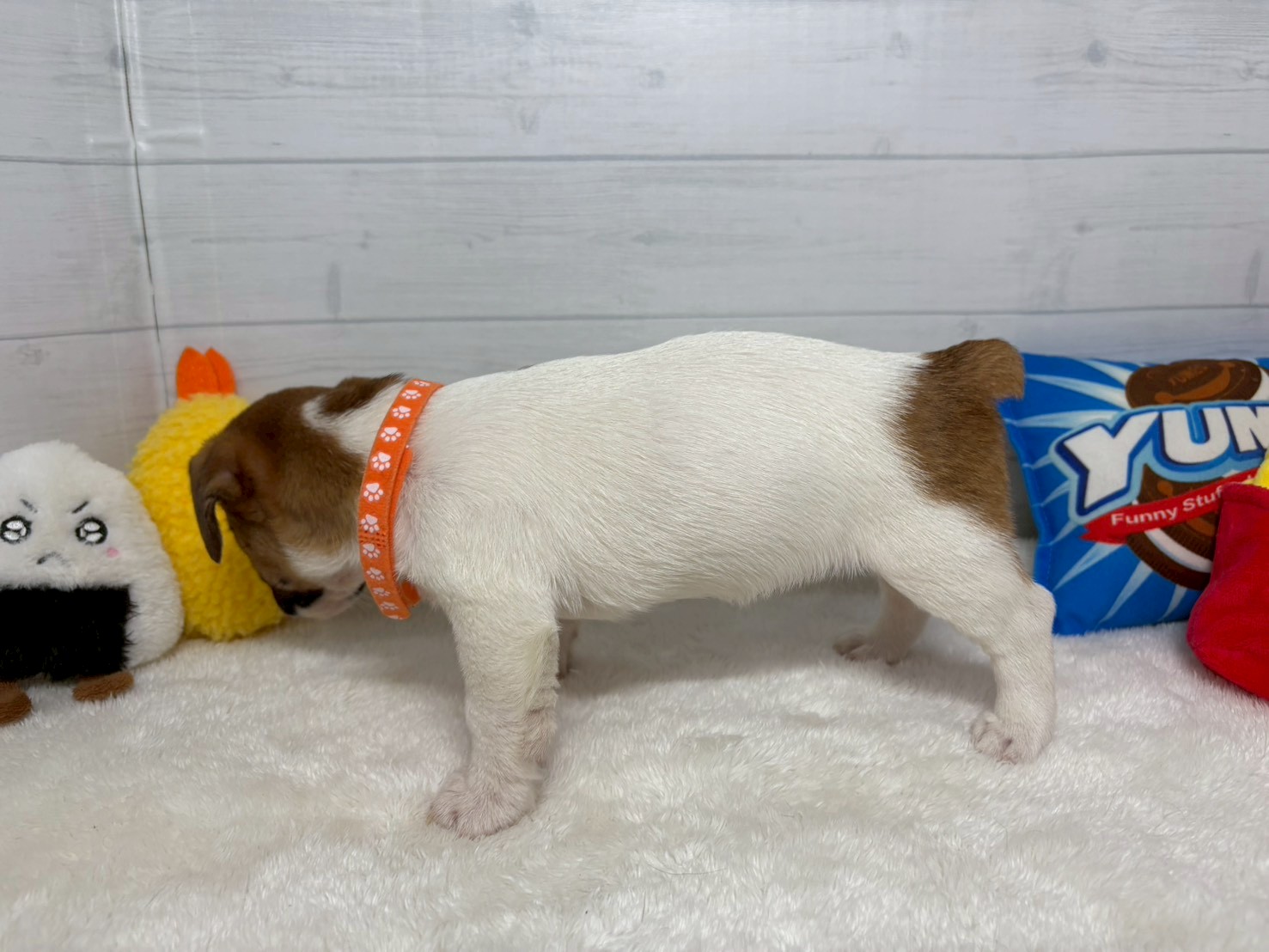 赤ちゃん写真3-2