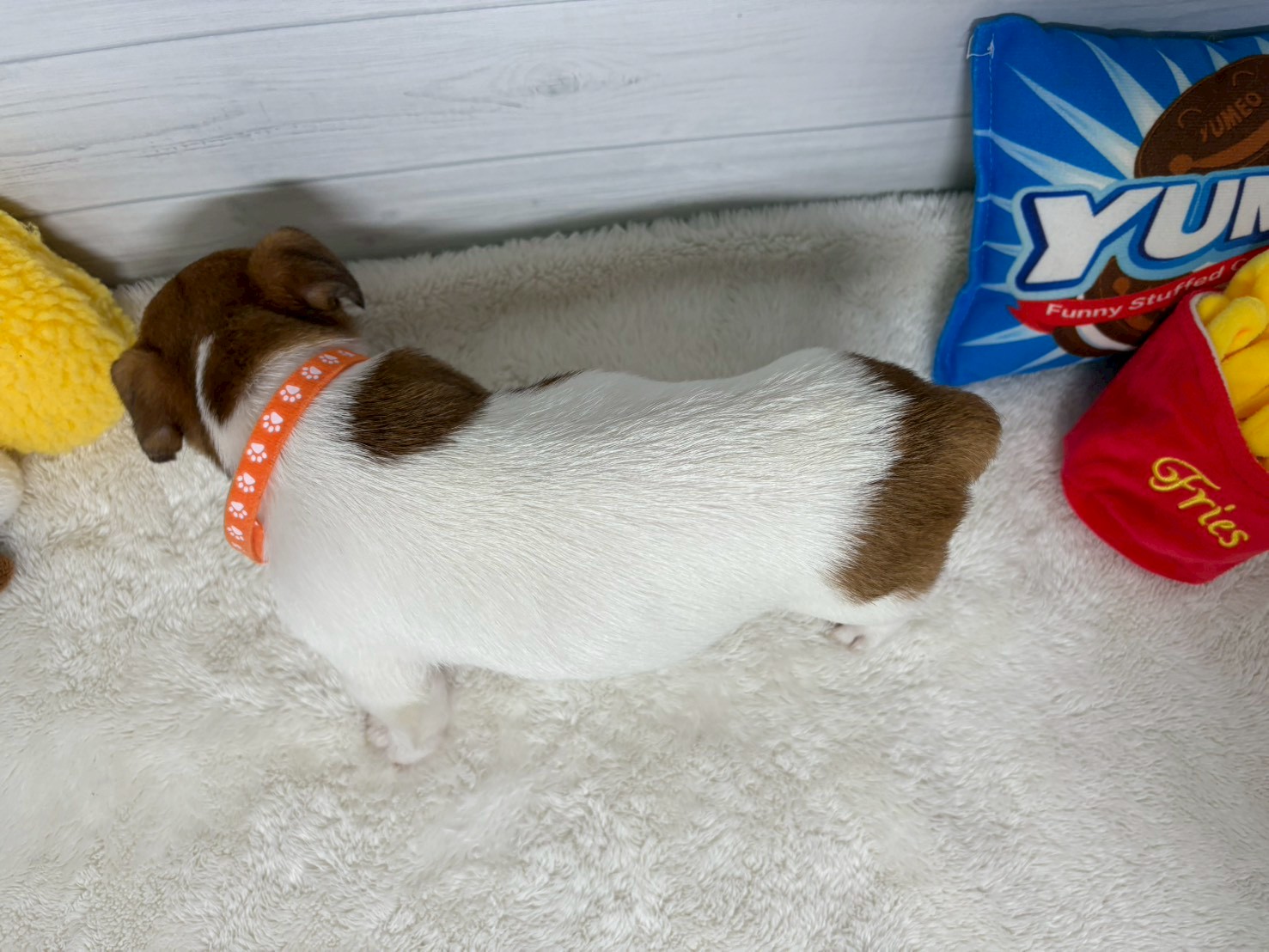 赤ちゃん写真3-3