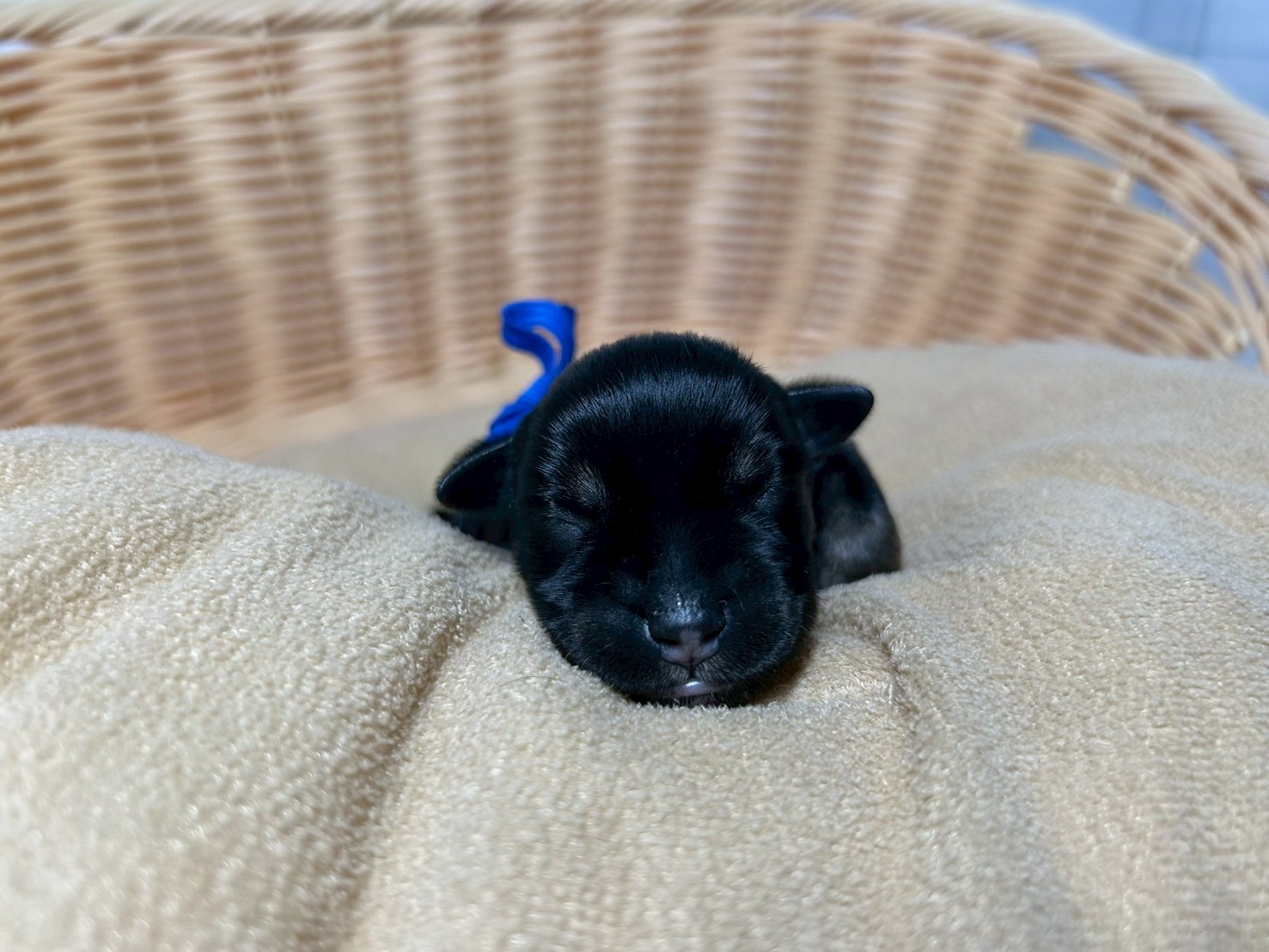 赤ちゃん写真1-1