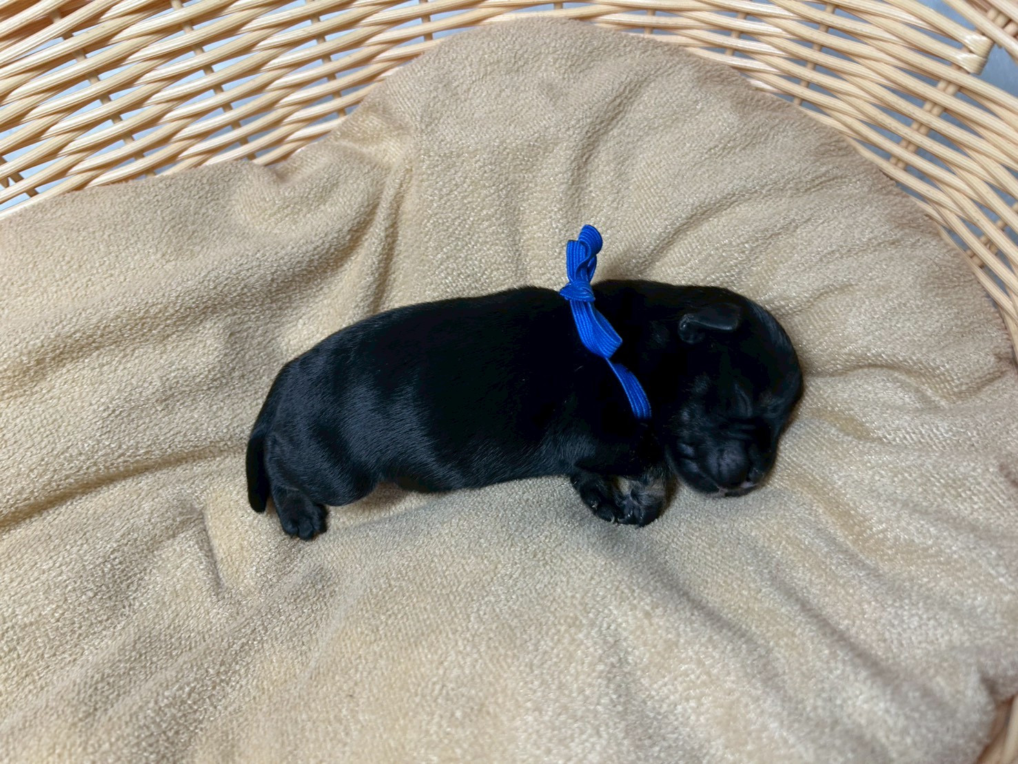 赤ちゃん写真1-2