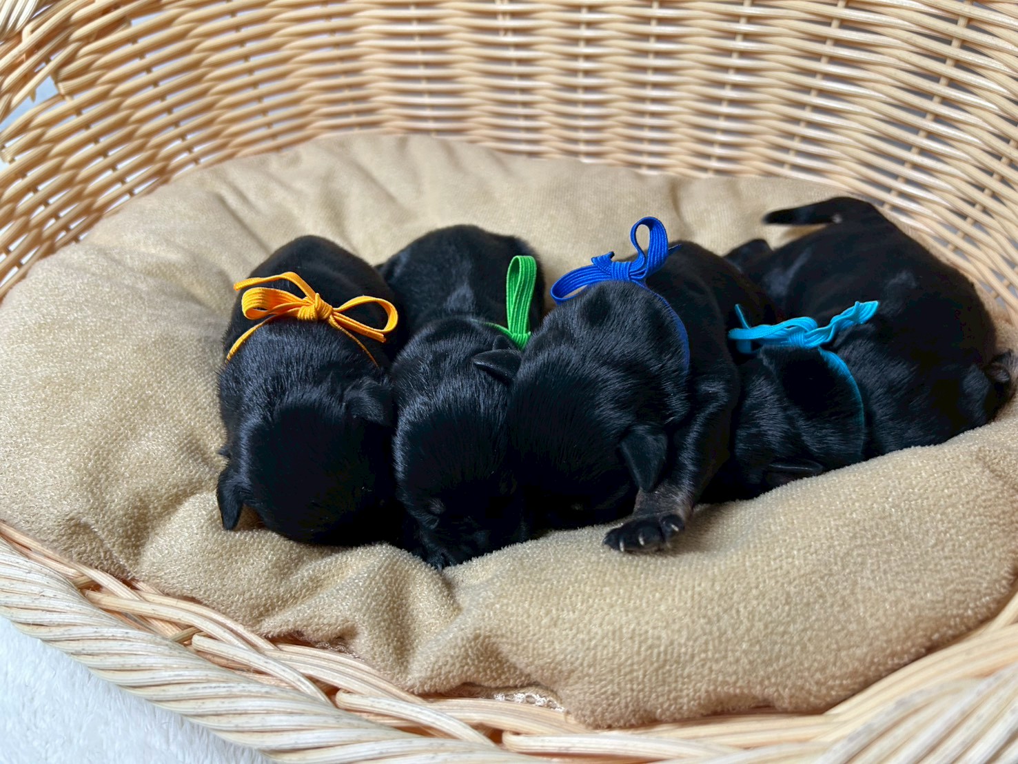 赤ちゃん写真1-3