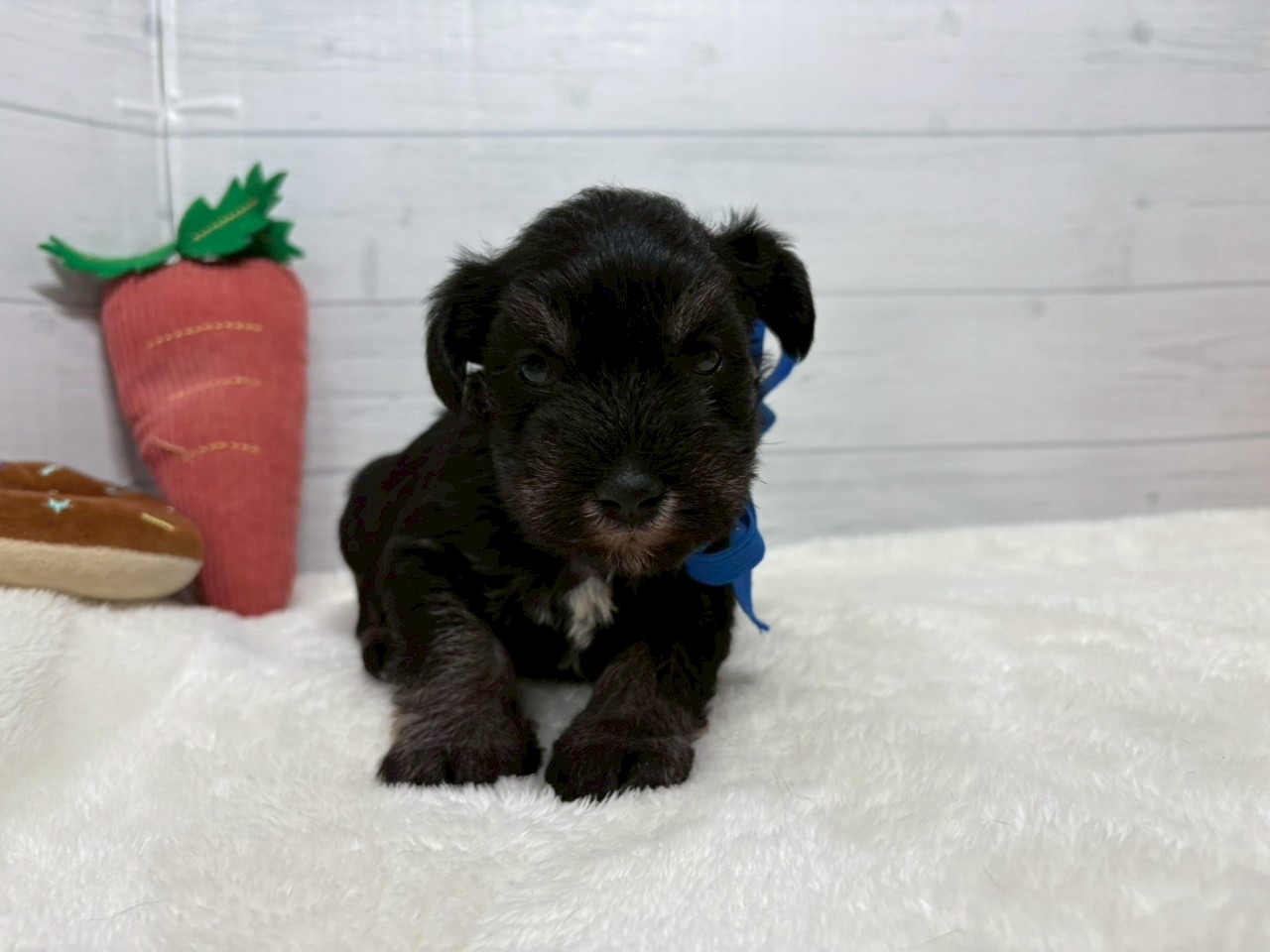 赤ちゃん写真2-1