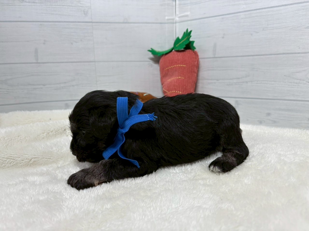 赤ちゃん写真2-2