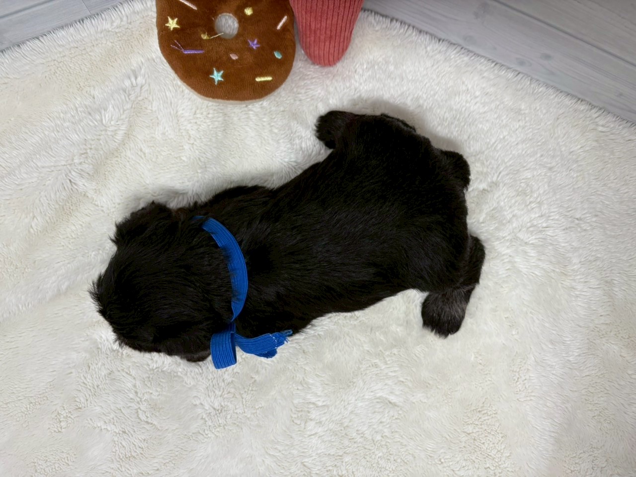 赤ちゃん写真2-3