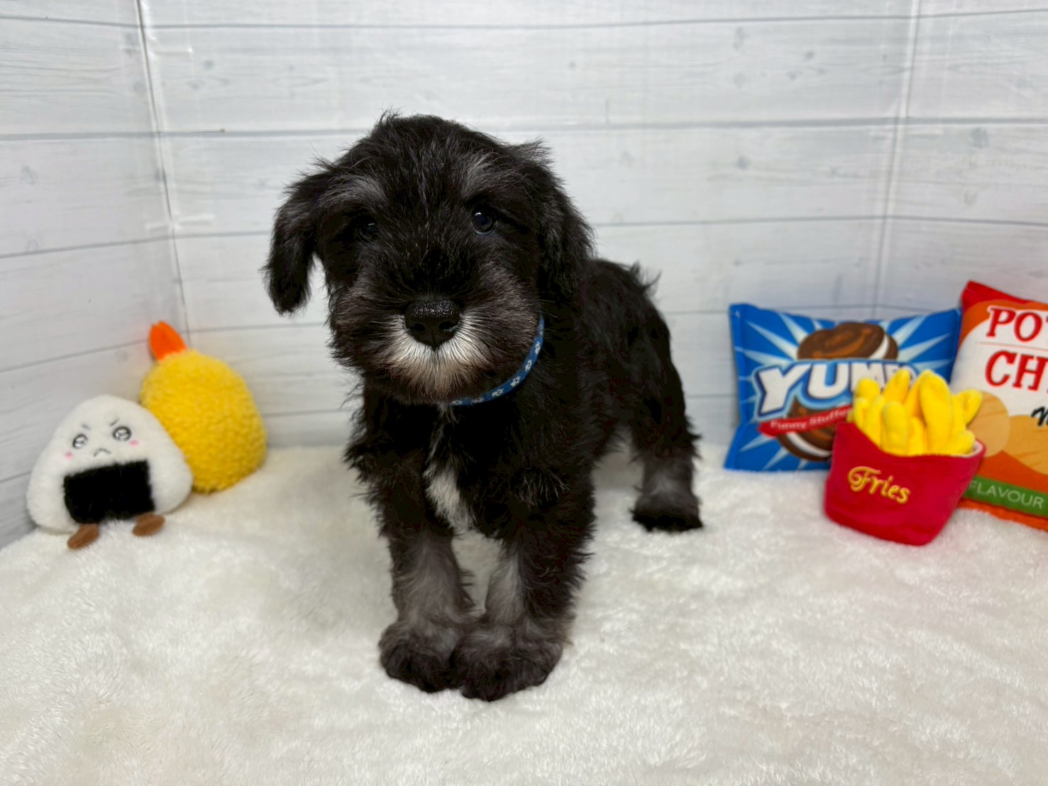 赤ちゃん写真3-1