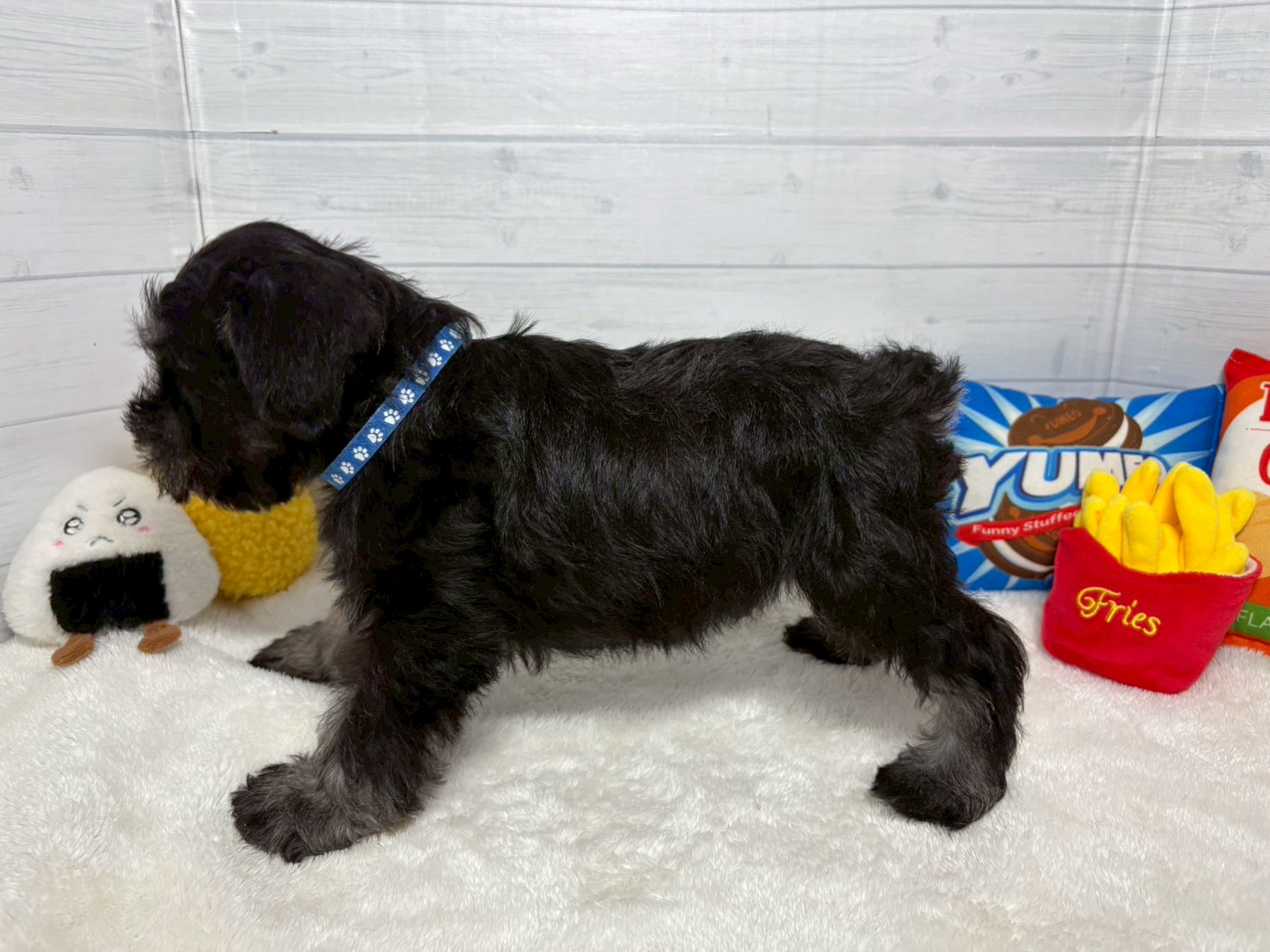 赤ちゃん写真3-2