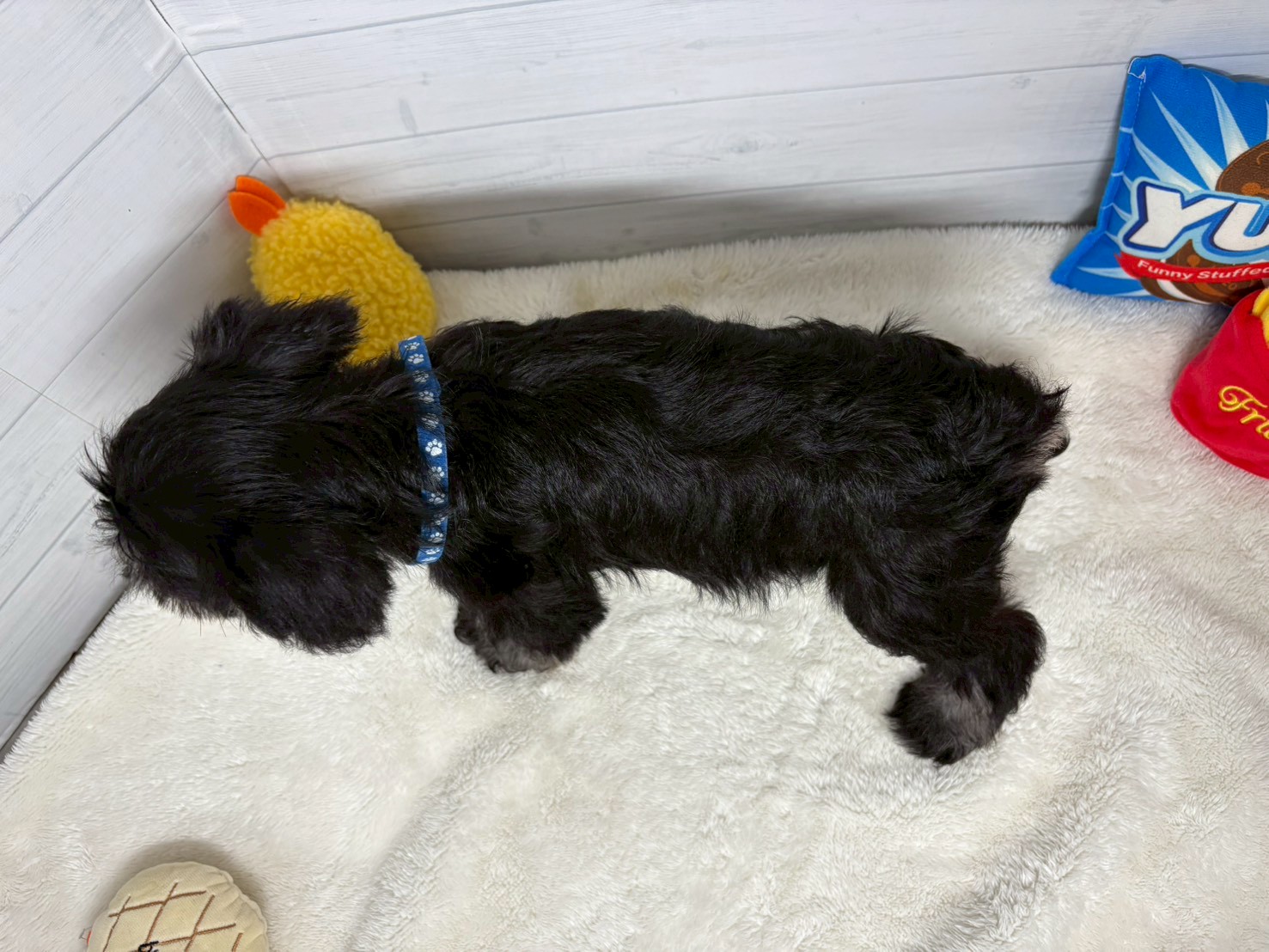 赤ちゃん写真3-3