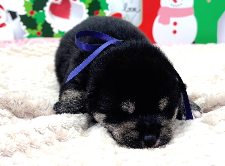 赤ちゃん写真1-1