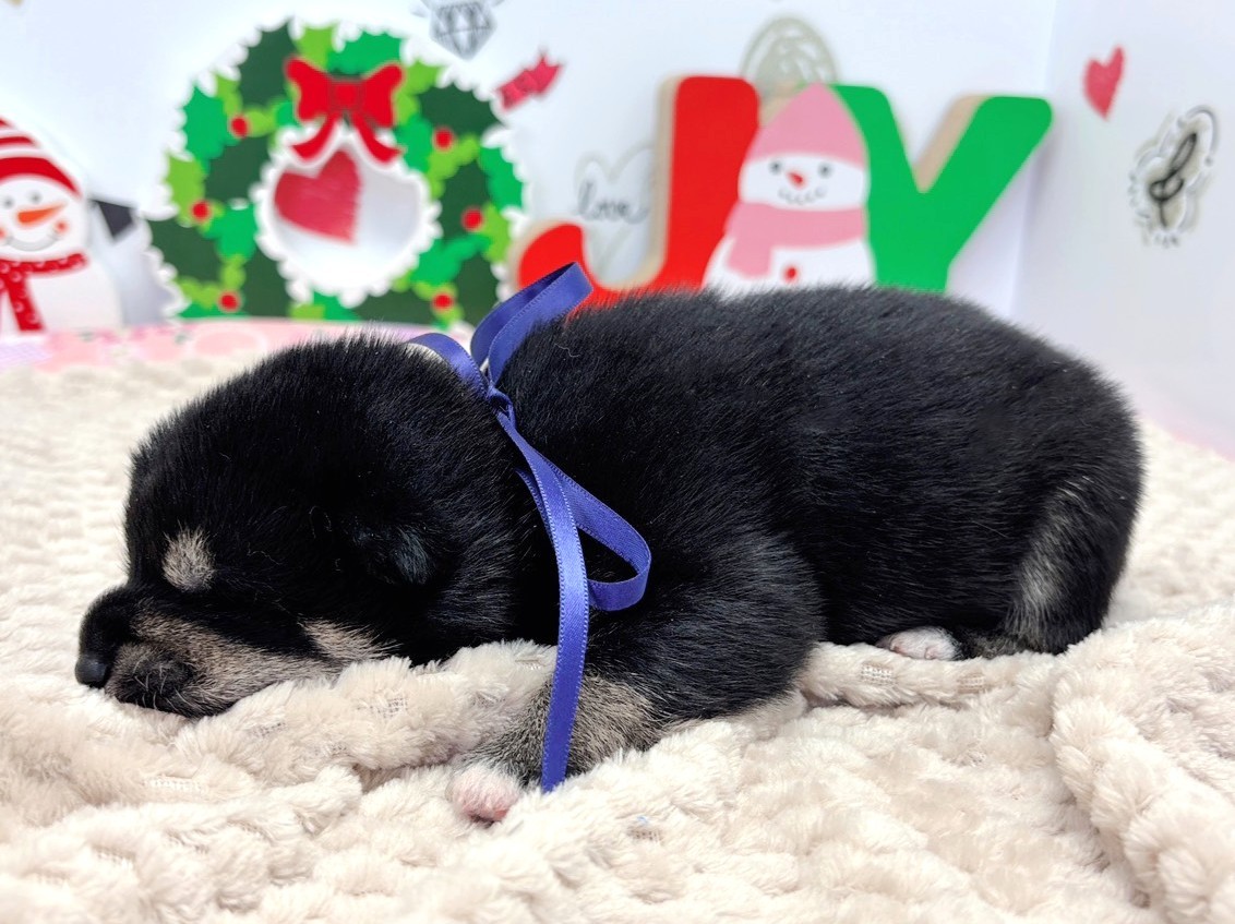 赤ちゃん写真1-2