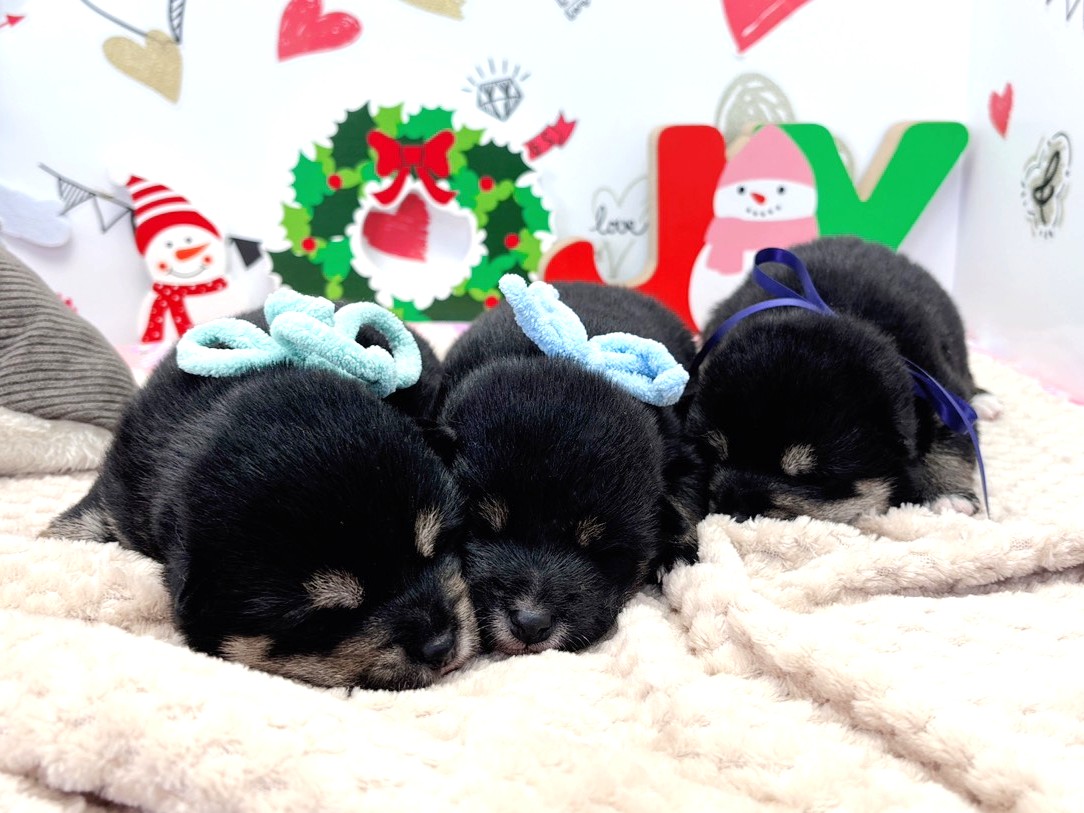 赤ちゃん写真1-3