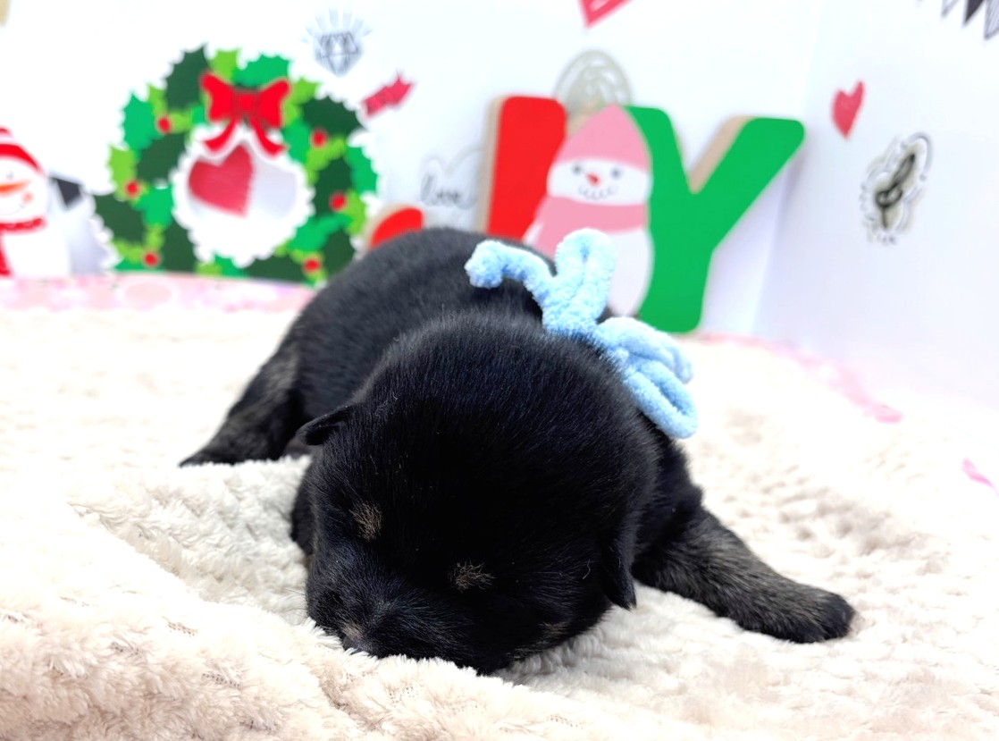 赤ちゃん写真1-1