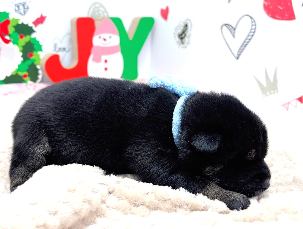 赤ちゃん写真1-2