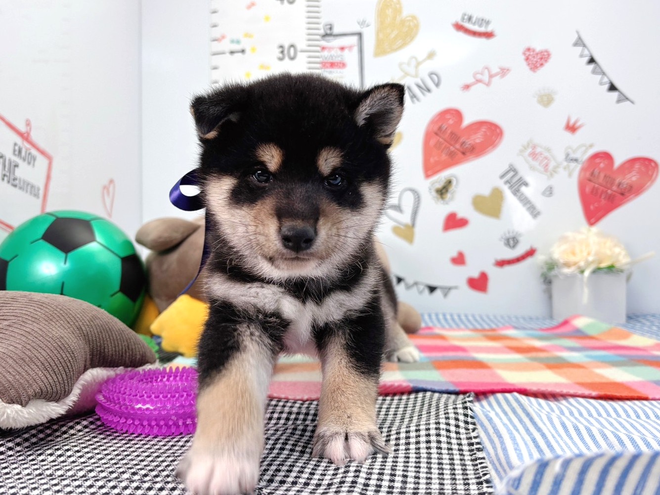 赤ちゃん写真2-1