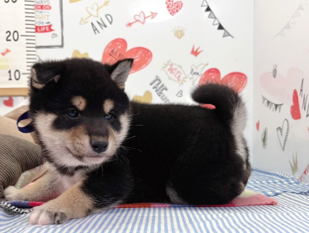 赤ちゃん写真2-2