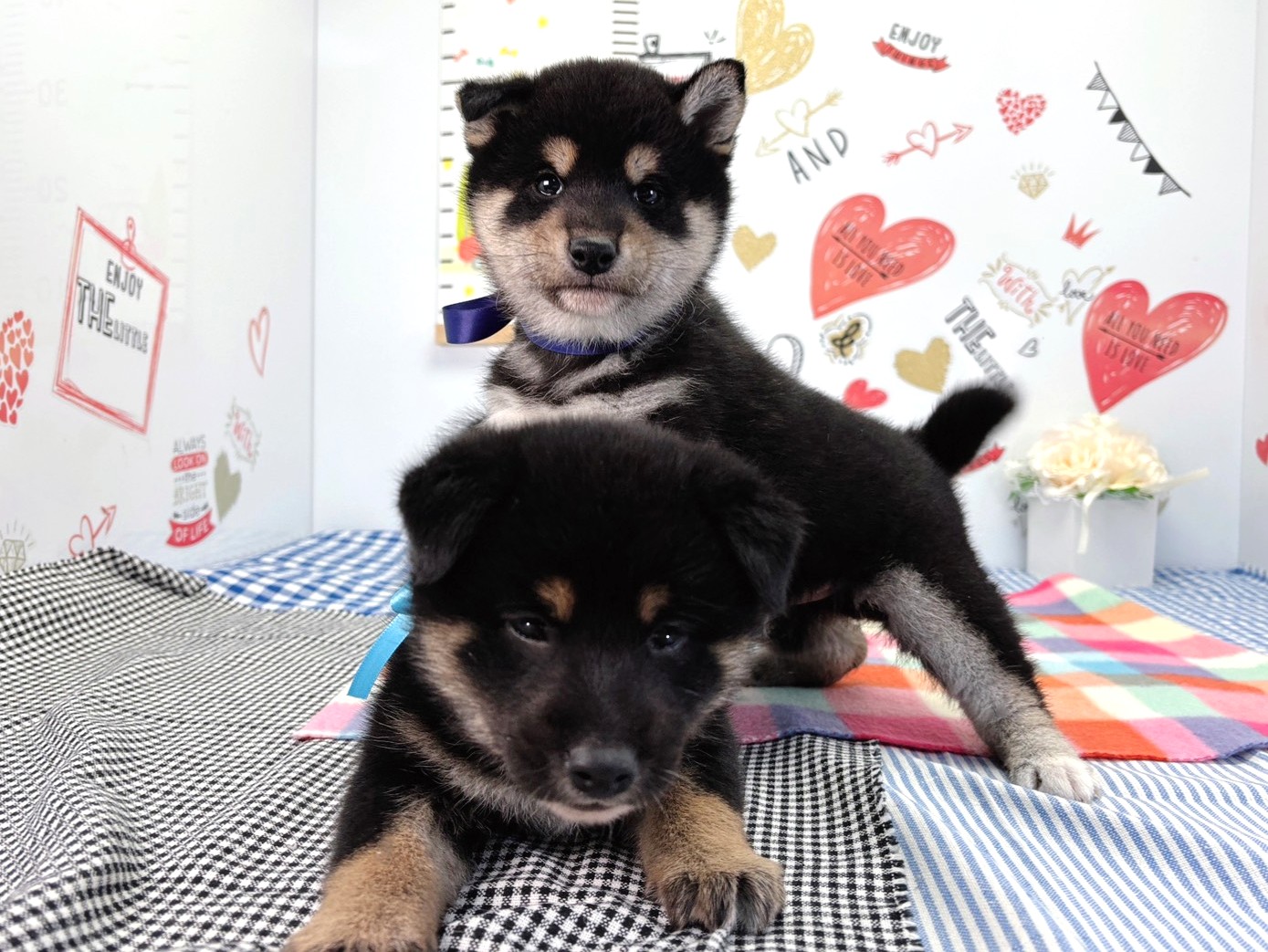 赤ちゃん写真2-3