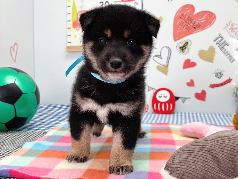 赤ちゃん写真2-1