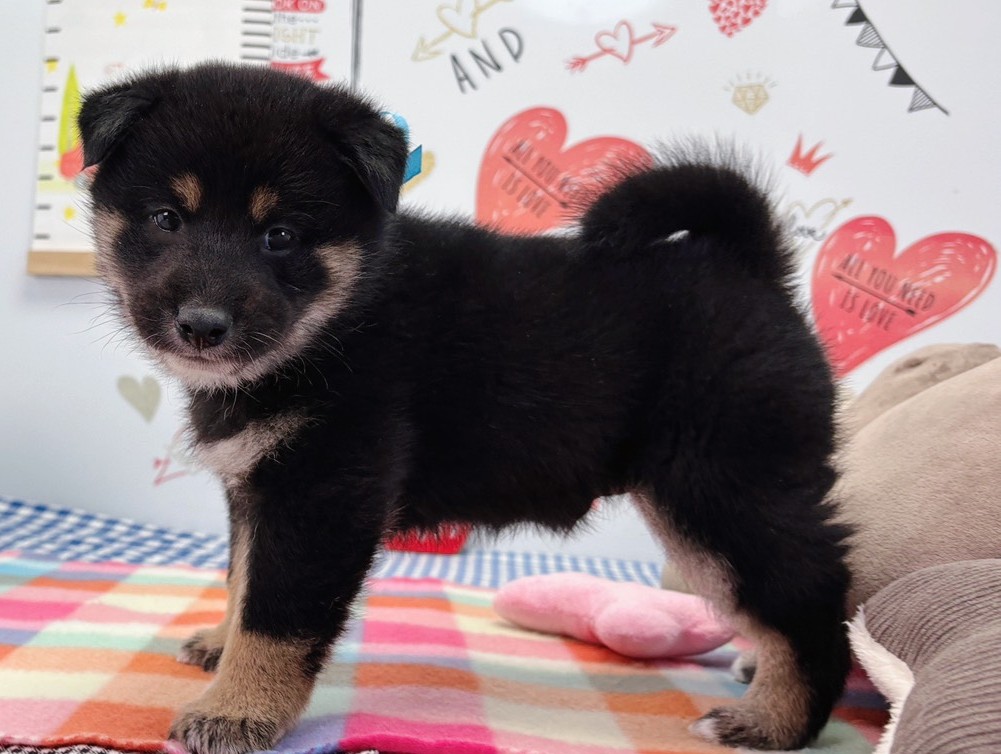 赤ちゃん写真2-2