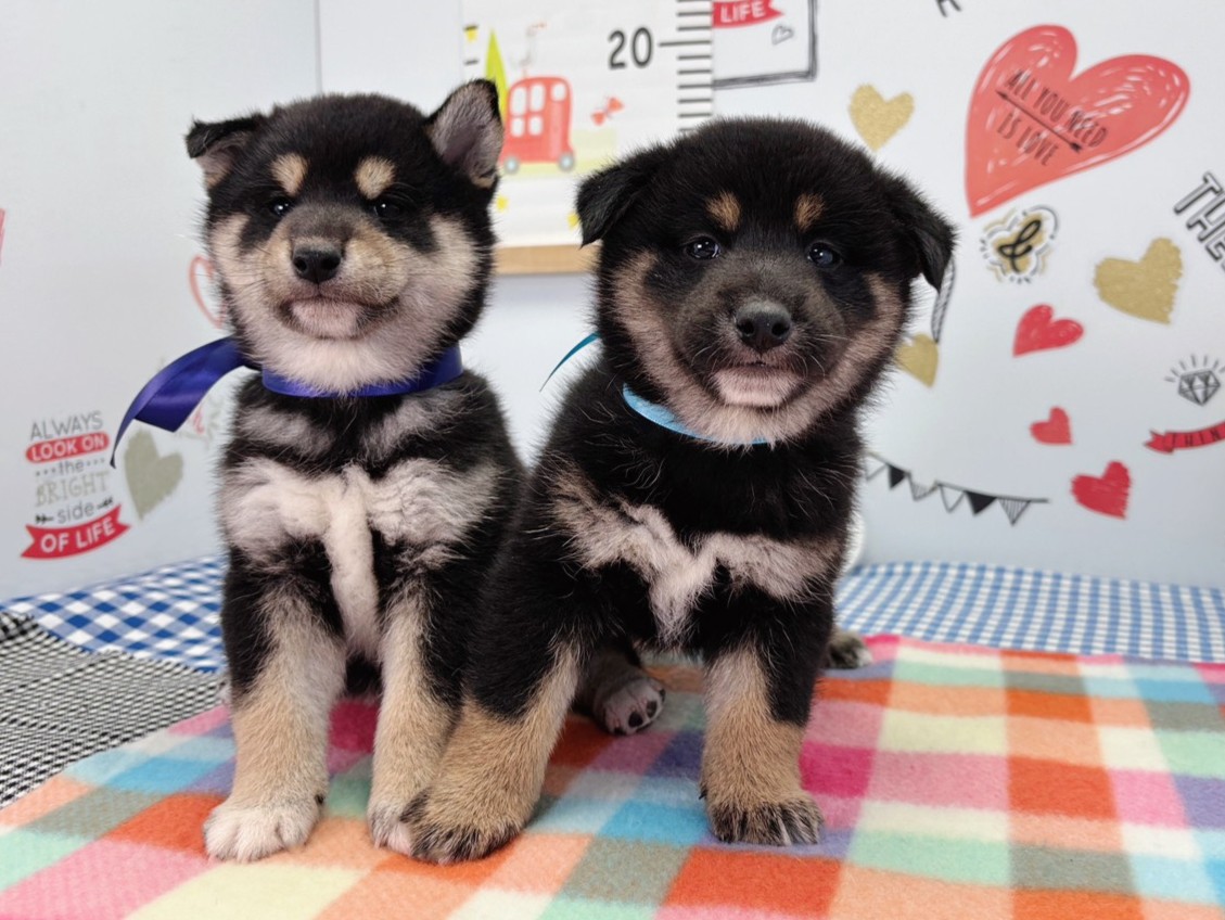 赤ちゃん写真2-3