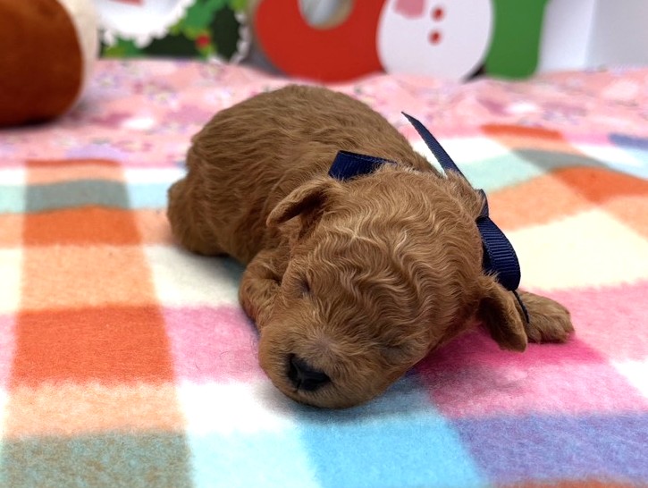 赤ちゃん写真1-1