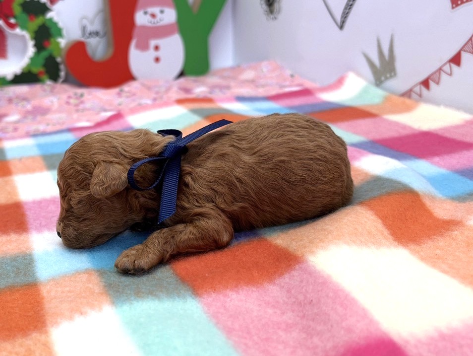 赤ちゃん写真1-2