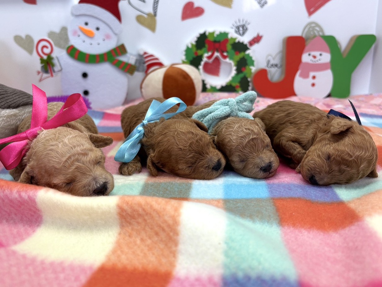 赤ちゃん写真1-3