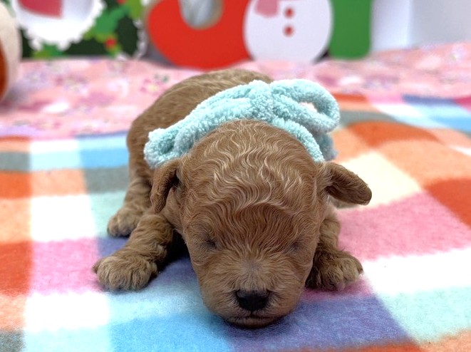 赤ちゃん写真1-1