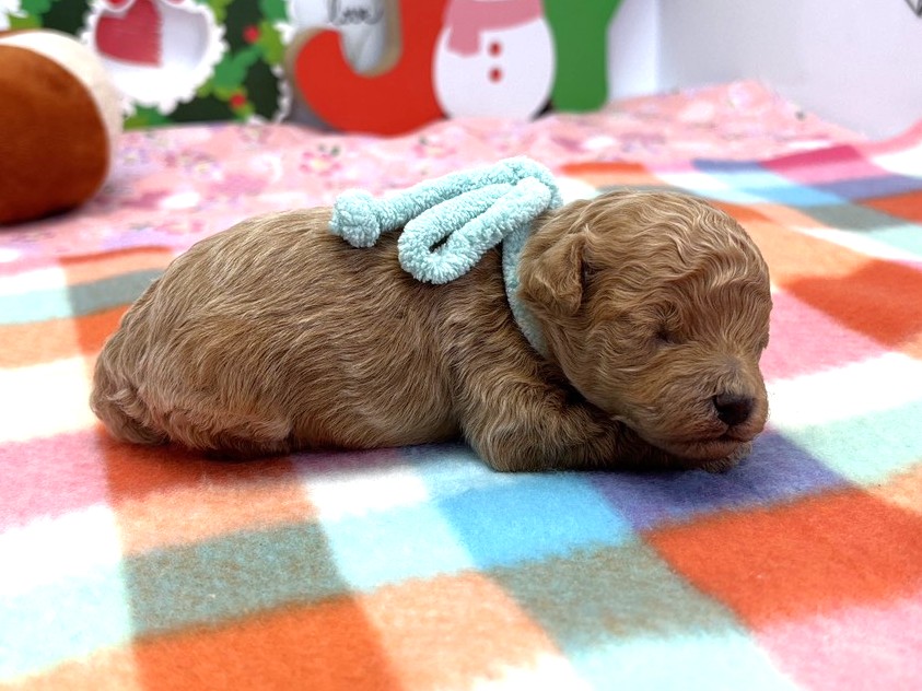 赤ちゃん写真1-2