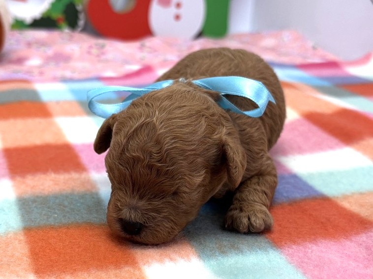 赤ちゃん写真1-1